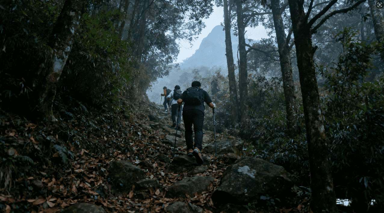 蚂蚁加速器优质服务器地址汇总及详细配置技术